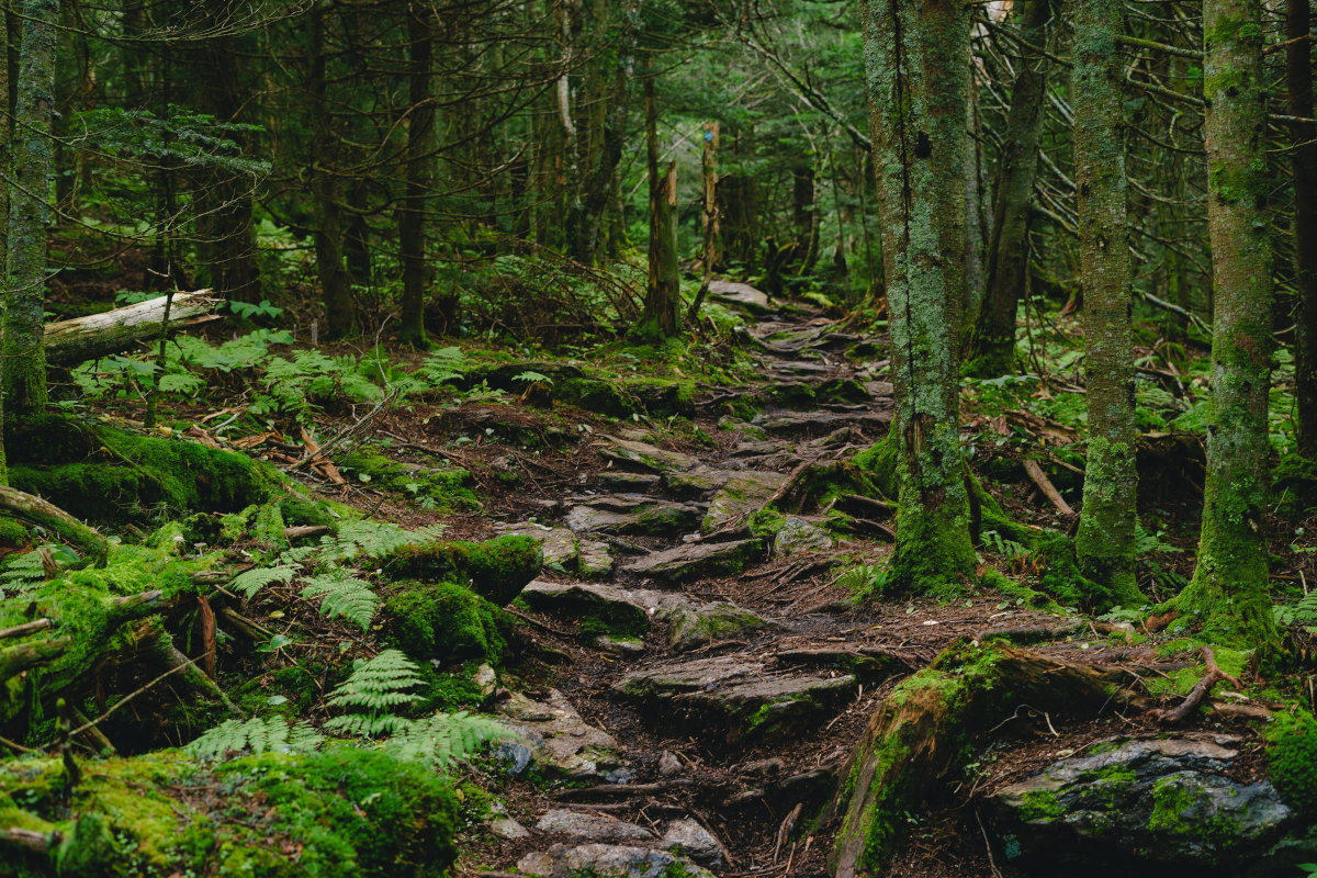 Zitat von Dalai Lama